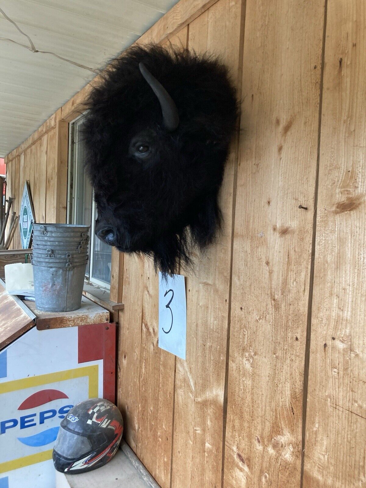 Mark Buffalo / Bison Head Taxidermy Mount New Neck Mount