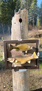 Beautiful Real Skin Large Walleye + Small Bass Taxidermy Wall Mount Art Wildlife