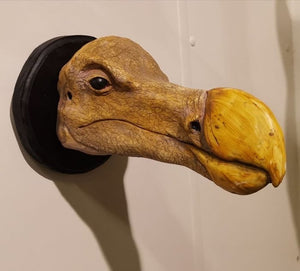 Replica Dodo Head Skull Taxidermy