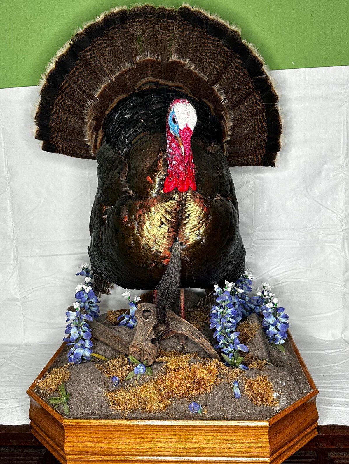 Museum Quality Mounted Taxidermy Turkey W/ Custom Base