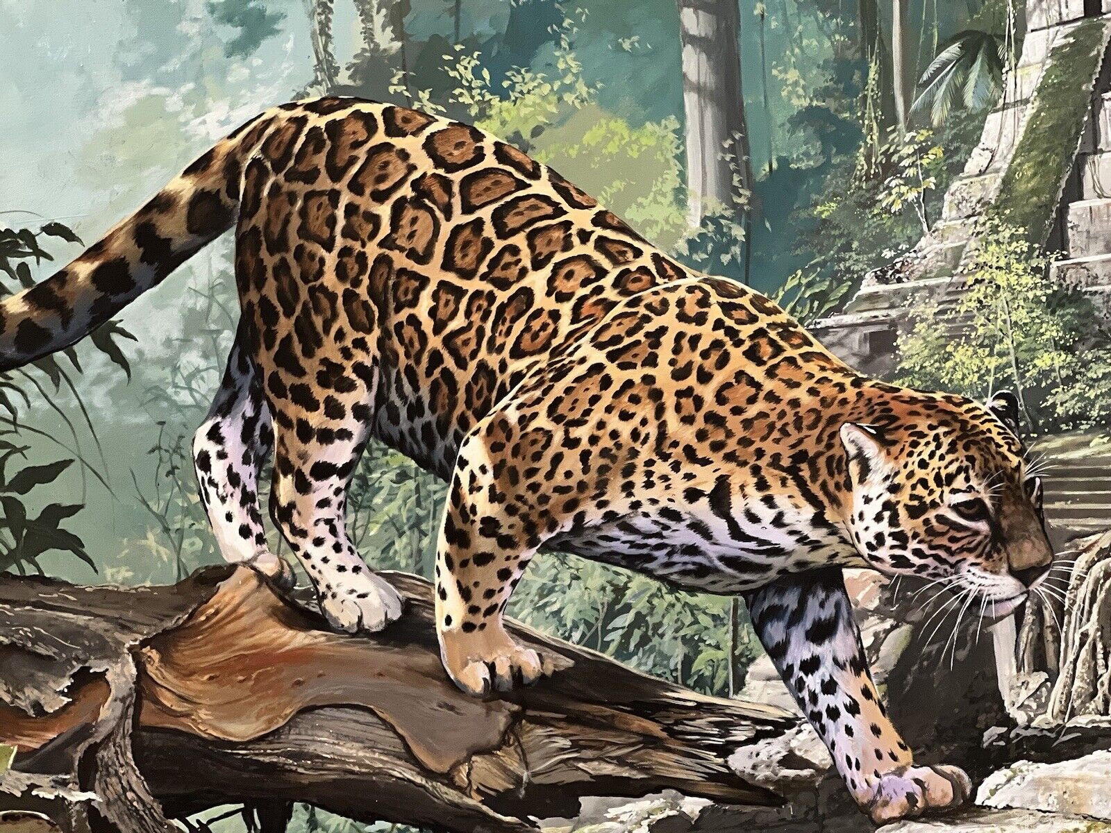 Original Oil Painting Wildlife Jaguar Artist Lowell shapley